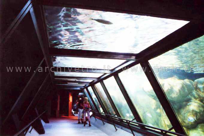 Vetri per piscine: tunnel in vetro subacqueo